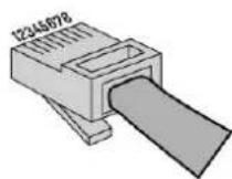 BeamZ DMX65W - DIAGRAMME DE BRANCHEMENT XLR / RJ45 - 8