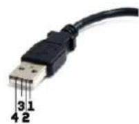 BeamZ DMX65W - DIAGRAMME DE BRANCHEMENT XLR / RJ45 - 4