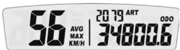 Sherco 250 SE (2023) - ! ATENCIÓN - 4