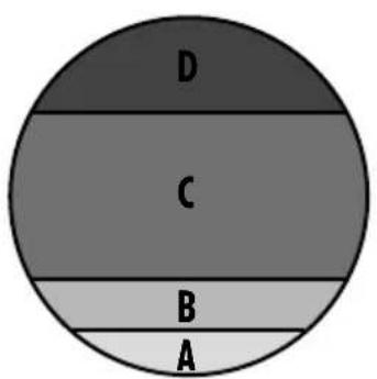 Sherco 250 SE (2023) - SETTING THE CARBURETOR - 2