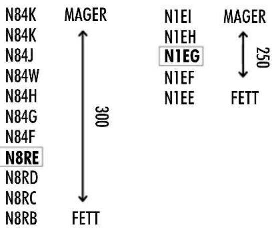 Sherco 250 SE (2023) - ! ACHTUNG - 7