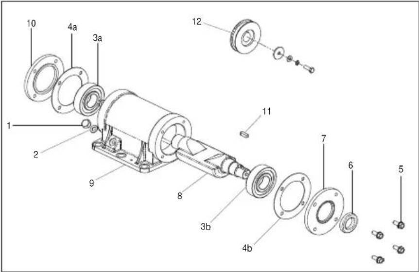 Lescha BELLE PCX 450 - Hhctpykun 3a MoHTax Ha Bn6paQnoHHn enEmeHT - 1