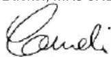 FLYMO Chevron 34VC - EC DECLARATION OF CONFORMITY - 1