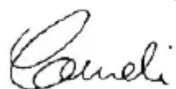 FLYMO Chevron 34VC - EC DECLARATION OF CONFORMITY - 3