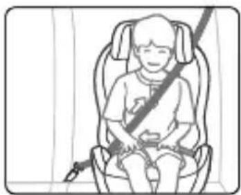 Kinderkraft Safety Fix - 34