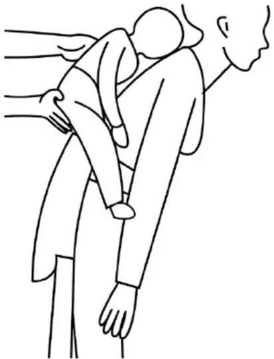 Kindercraft ADIOREE - 17
