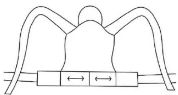 Kindercraft ADIOREE - 1