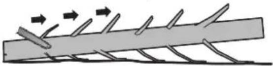 KRESS KG346 - Ebranchage - 1