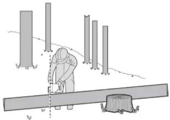 KRESS KG346 - Taglio di tronco d'albero - 4