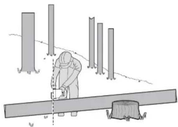 KRESS KG346 - Tronconner les troncs d'arbre - 4