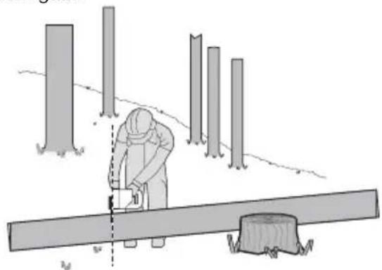 KRESS KG346 - Boomstam in stukken zagen - 4