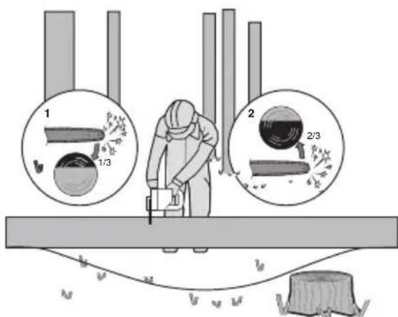 KRESS KG346 - Tronconner les troncs d'arbre - 3