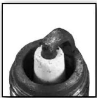 Sherco TY 125 (2024) - WARNING - 1