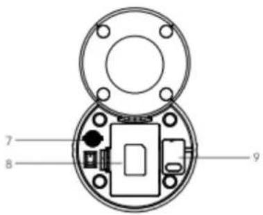LIVOO PET100 - LIVOO - 2