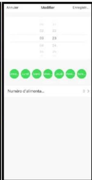 LIVOO PET100 - LIVOO - 12