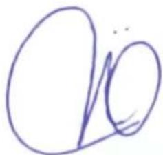 Greencut GS620X - DÉCLARATION DE CONFORMITÉ (CE) - 1