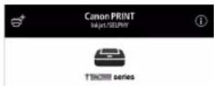 CANON PIXMA E4240 - Verificati dacă apare ecranul următor. - 1