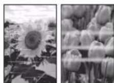 CANON PIXMA E4240 - If Print Results Are Unsatisfactory - 2