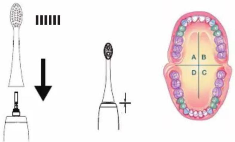 Eldom Denta SD210B - / IT / Smaltimento dei rifiuti di apparecchiature elettriche ed elettroniche (applicabile nell'Unione Europea e in altri paesi europei con sistemi di raccolta differenziata). - 2