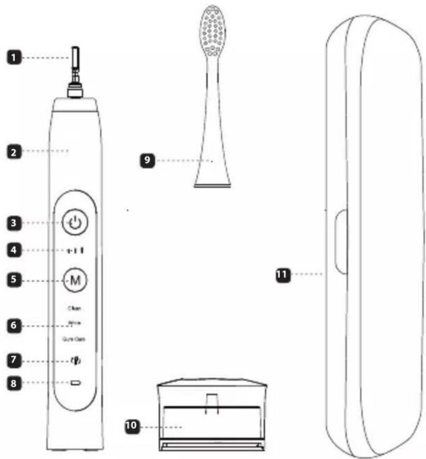 Eldom Denta SD210B - / IT / Smaltimento dei rifiuti di apparecchiature elettriche ed elettroniche (applicabile nell'Unione Europea e in altri paesi europei con sistemi di raccolta differenziata). - 1