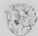 NILFISK 3907W - Recommended spare parts - 8