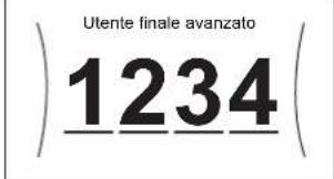 DAIKIN EAVH16S18DA9W - Codice d'identificazione personale dell'utente avanzato - 1