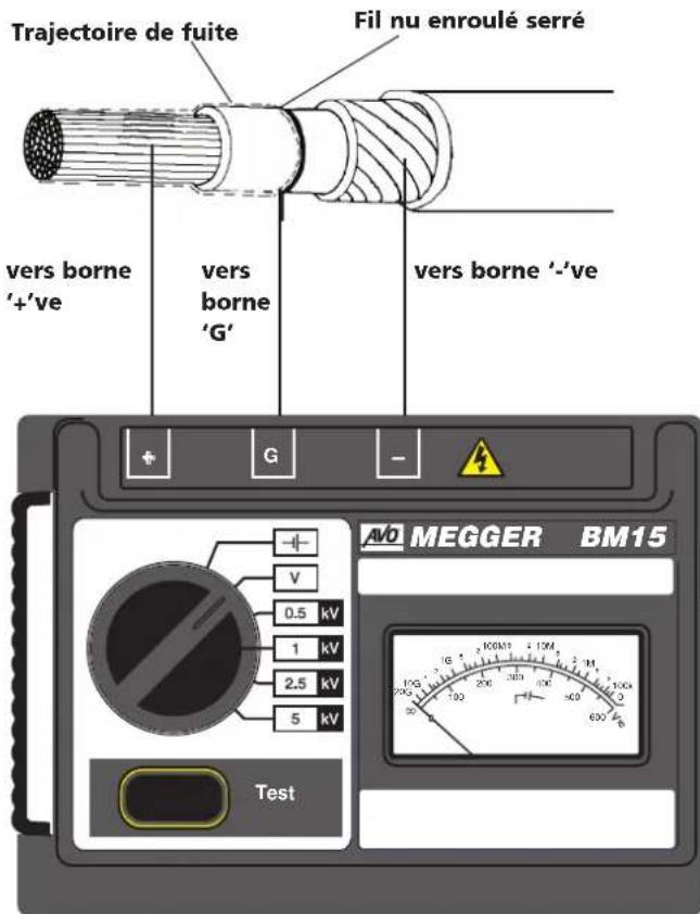 Megger BM15 - Utilisation de la borne de protection - 2