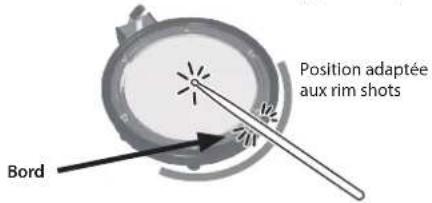 Position adaptée aux rim shots Bord