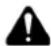 Shindaiwa BP510S - PELIGRO - 2