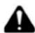 Shindaiwa BP510S - DANGER - 2