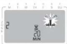 RAIN BIRD ST8I - Programmation par minuteur - 2