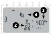 RAIN BIRD ST8I - Report pour pluie - jusqu'à 14 jours - 4