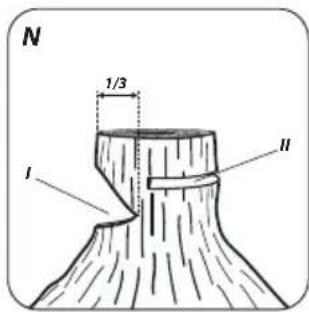 Graphite 58G953 - 15
