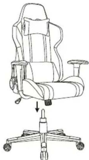 Prixton Predator - Functionnemment - 3