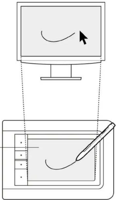 WACOM Bamboo Pen & Touch - Surface active de la tablette - 1