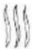 Brentwood GA301BK - Comment utiliser votre mousseur de lait - 5