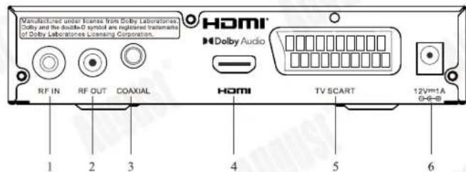 August DVB415 - Face arrirée - 1