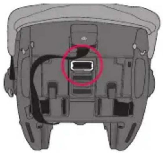 Evenflo LiteMax Sport - Sangle d'entrejambe dans la fente avant - 1