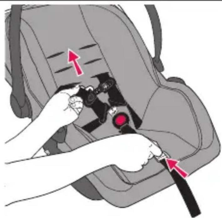 Evenflo LiteMax Sport - 1 - 1
