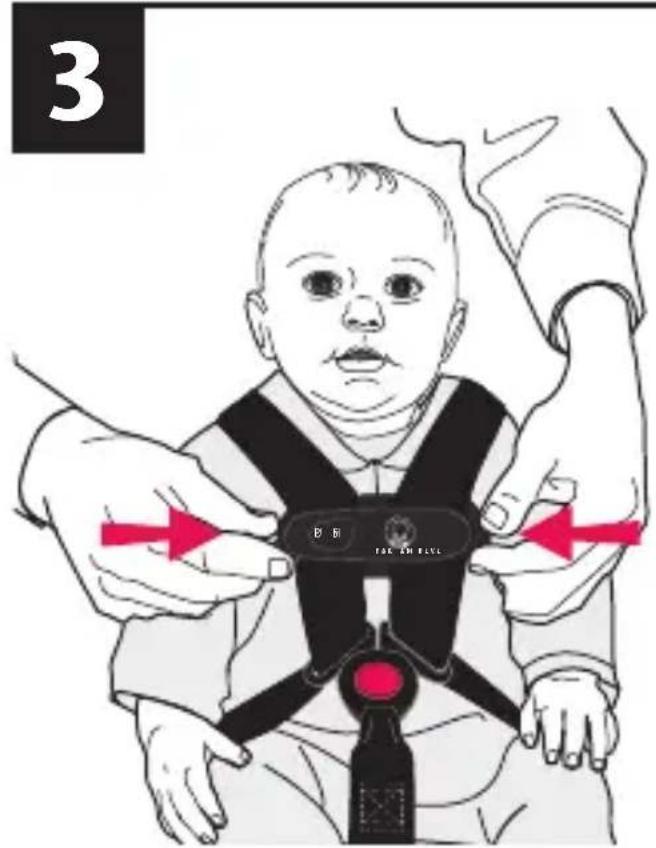 Evenflo LiteMax Sport - Attacher l'enfant dans le porte-bébe - 1