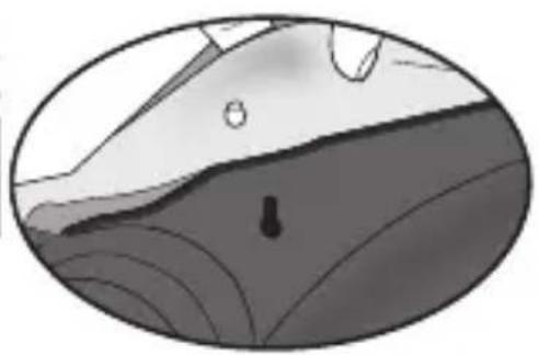 Evenflo LiteMax Sport - Retirer le revêtement du siège - 3