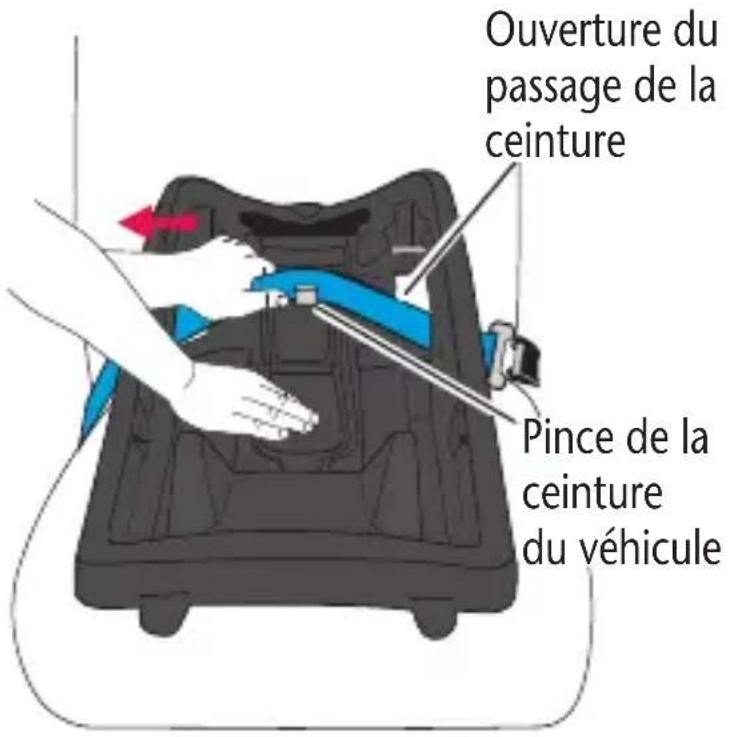 Evenflo LiteMax Sport - CEINTURE SOUS-ABDOMINALE - 1