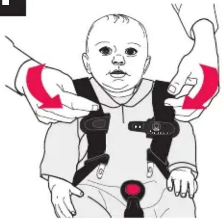 Evenflo LiteMax Sport - Attacher l'enfant dans le porte-bébe - 3