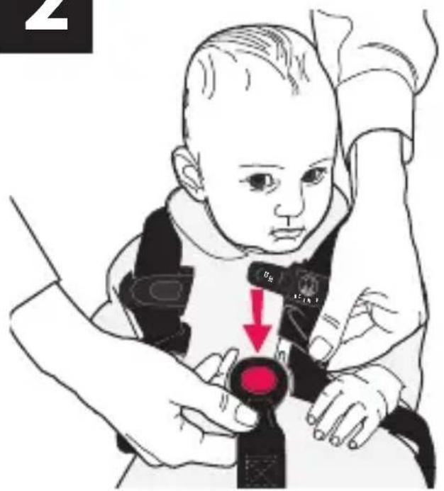 Evenflo LiteMax Sport - Attacher l'enfant dans le porte-bébe - 4
