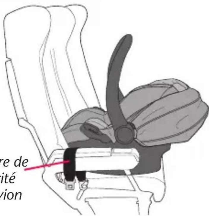 Evenflo LiteMax Sport - 1 - 1