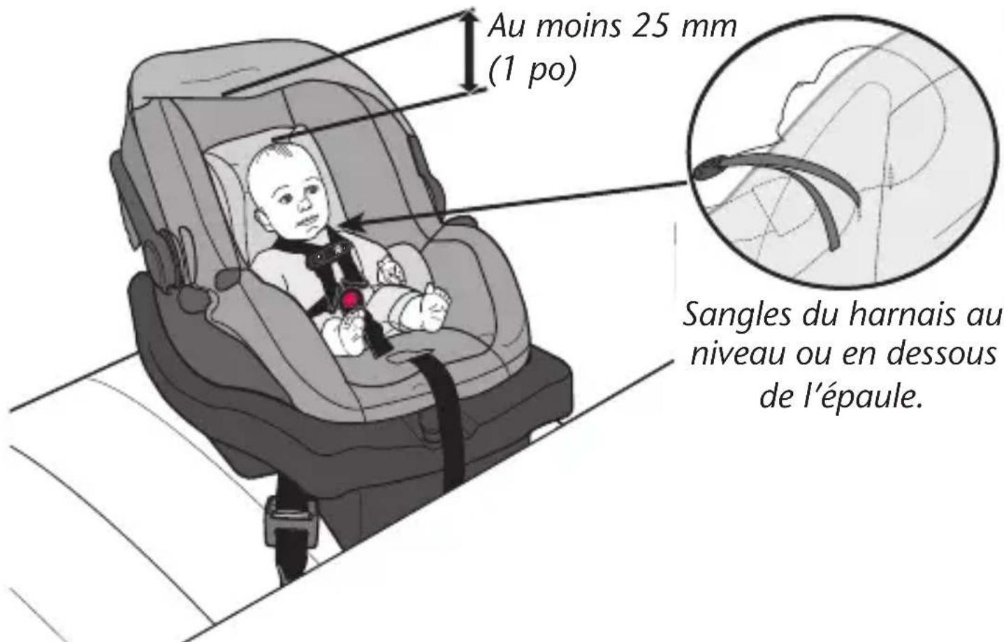 Evenflo LiteMax Sport - Conditions requises pour l'enfant - 1