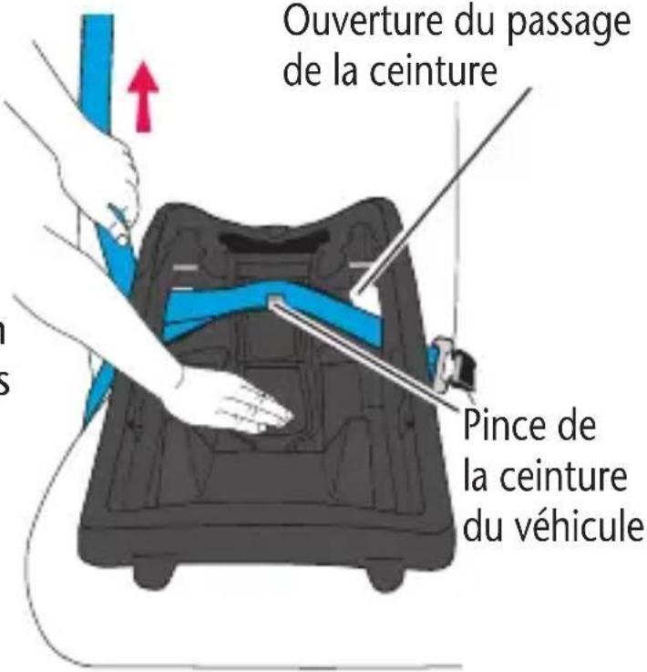 Evenflo LiteMax Sport - CEINTURE SOUSABDOMINALE ETBAUDRIER - 1