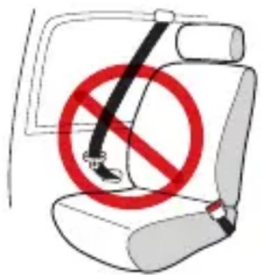 Evenflo LiteMax Sport - de sécurité de vehicule - 2