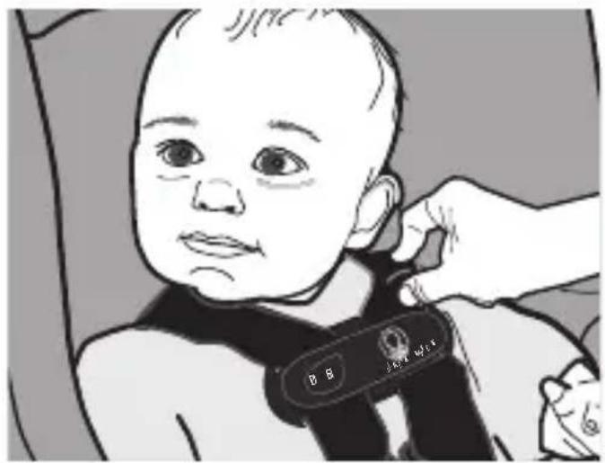 Evenflo LiteMax Sport - Attacher l'enfant dans le porte-bébe - 2