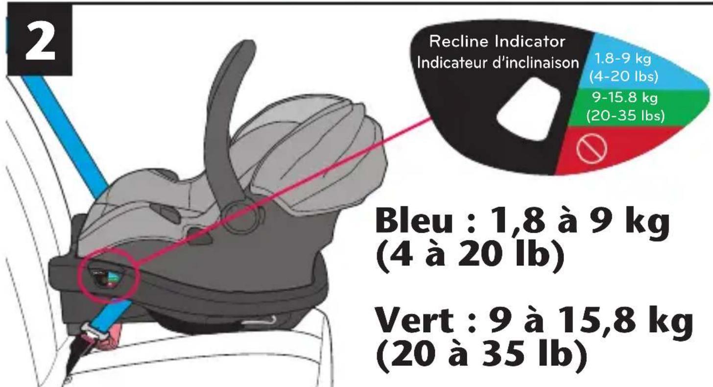 Evenflo LiteMax Sport - Placer le porte-bébé dans la base - 1